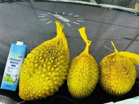 Ri6 Durian - Sầu Ri6